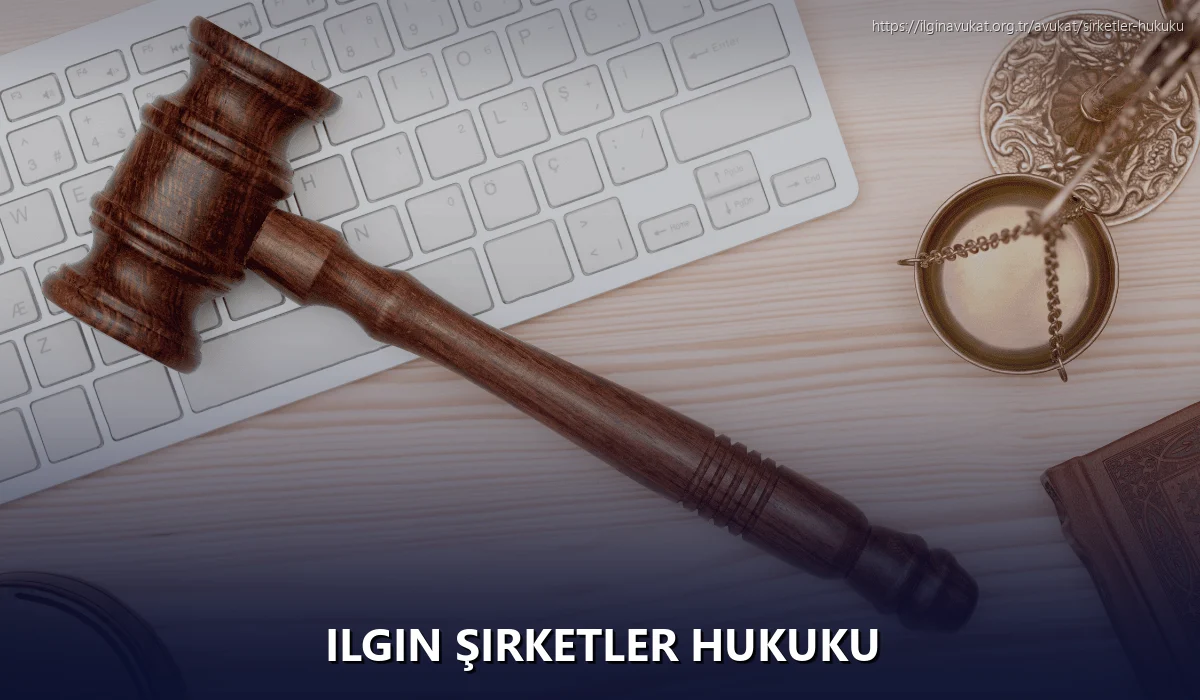 Ilgin Şirketler Hukuku